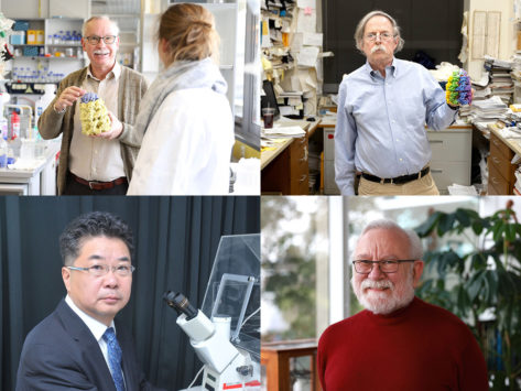 Collage featuring winners of the 2024 Frontiers of Knowledge Award in Biology and Medicine from the BBVA Foundation