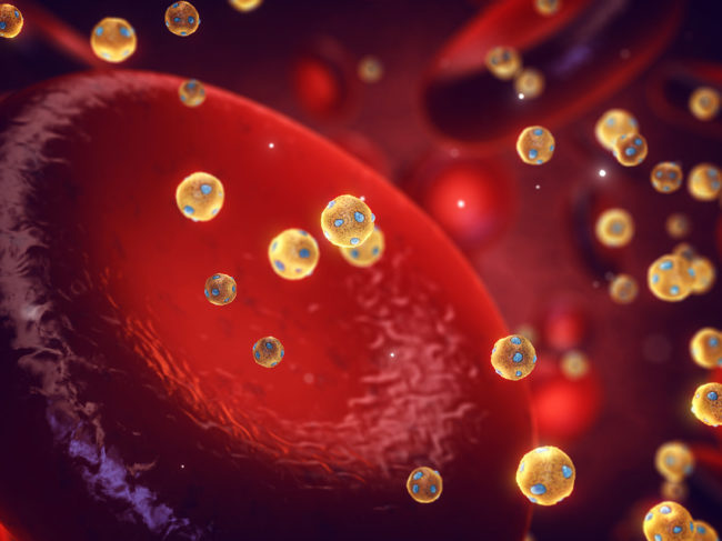 High-density lipoprotein particles and red blood cells