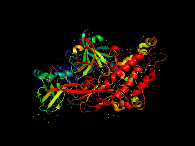 3D model of a protein molecule