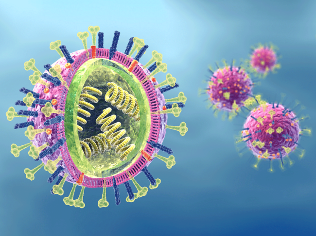 RNA virus illustration