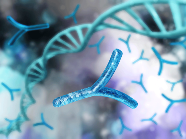 Y chromosomes and DNA